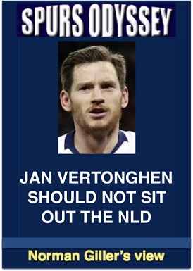 Jan Vertonghen should not sit out the NLD