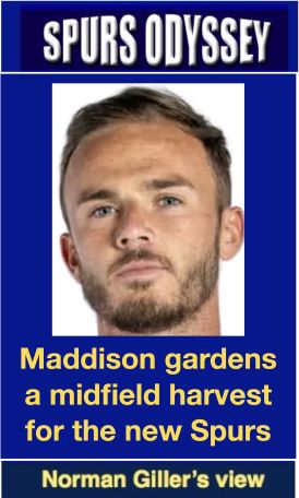 Maddison gardens a midfield harvest for the new Spurs