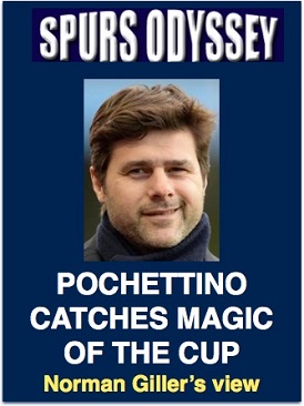 Pochettino catches magic of the cup