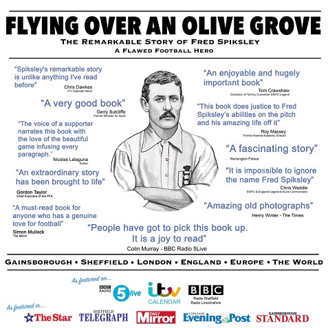 Flying over an Olive Grove