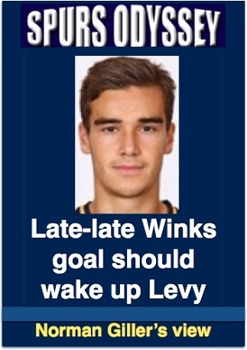 Late-late Winks goal should wake up Levy