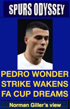 Pedro wonder strike wakens FA Cup dreams