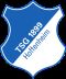 The club logo of TSG 1899 Hoffenheim
