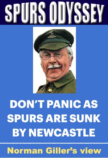 Don't panic as Spurs are sunk by Newcastle